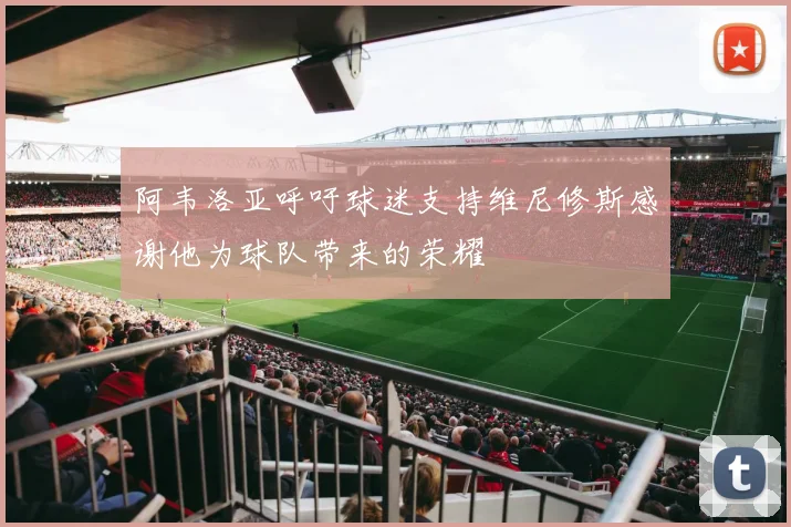 阿韦洛亚呼吁球迷支持维尼修斯感谢他为球队带来的荣耀
