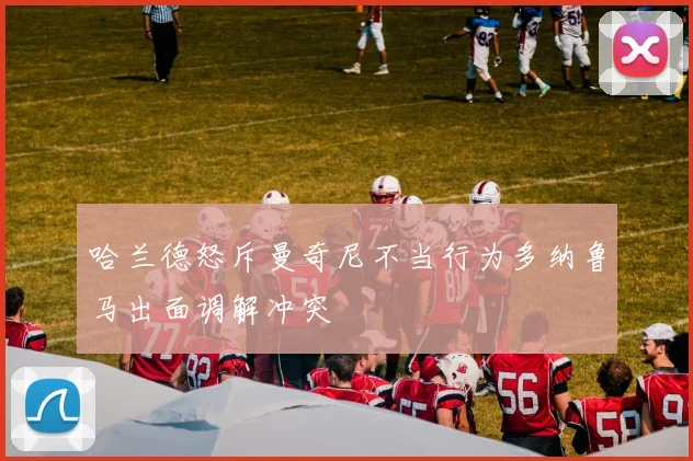 哈兰德怒斥曼奇尼不当行为多纳鲁马出面调解冲突