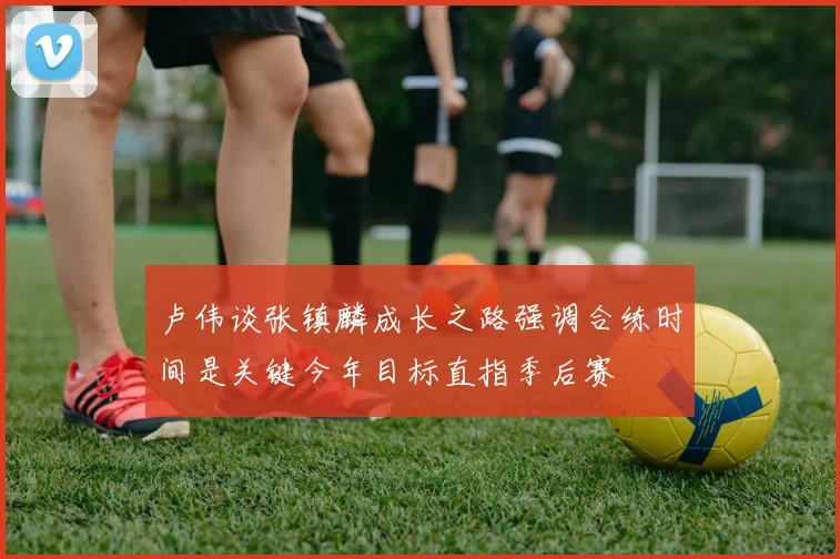 卢伟谈张镇麟成长之路强调合练时间是关键今年目标直指季后赛