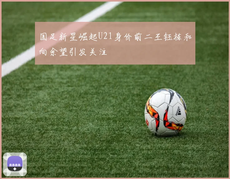 国足新星崛起U21身价前二王钰栋和向余望引发关注