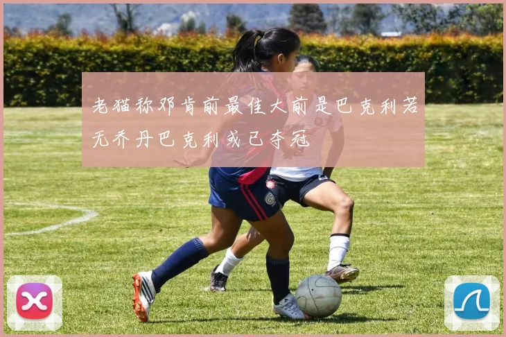 老猫称邓肯前最佳大前是巴克利若无乔丹巴克利或已夺冠