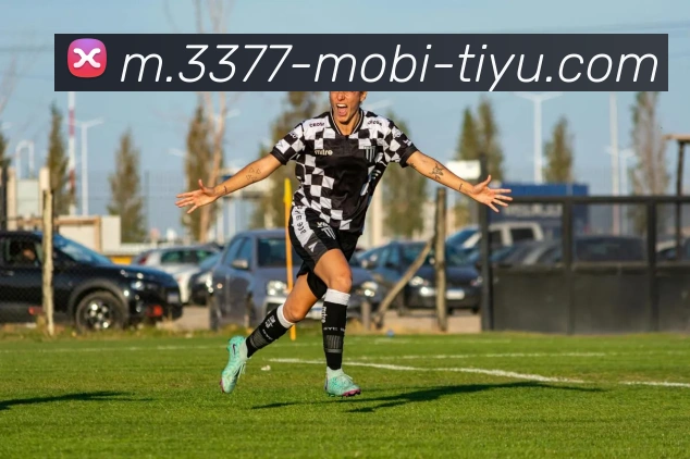 3377体育发展历程